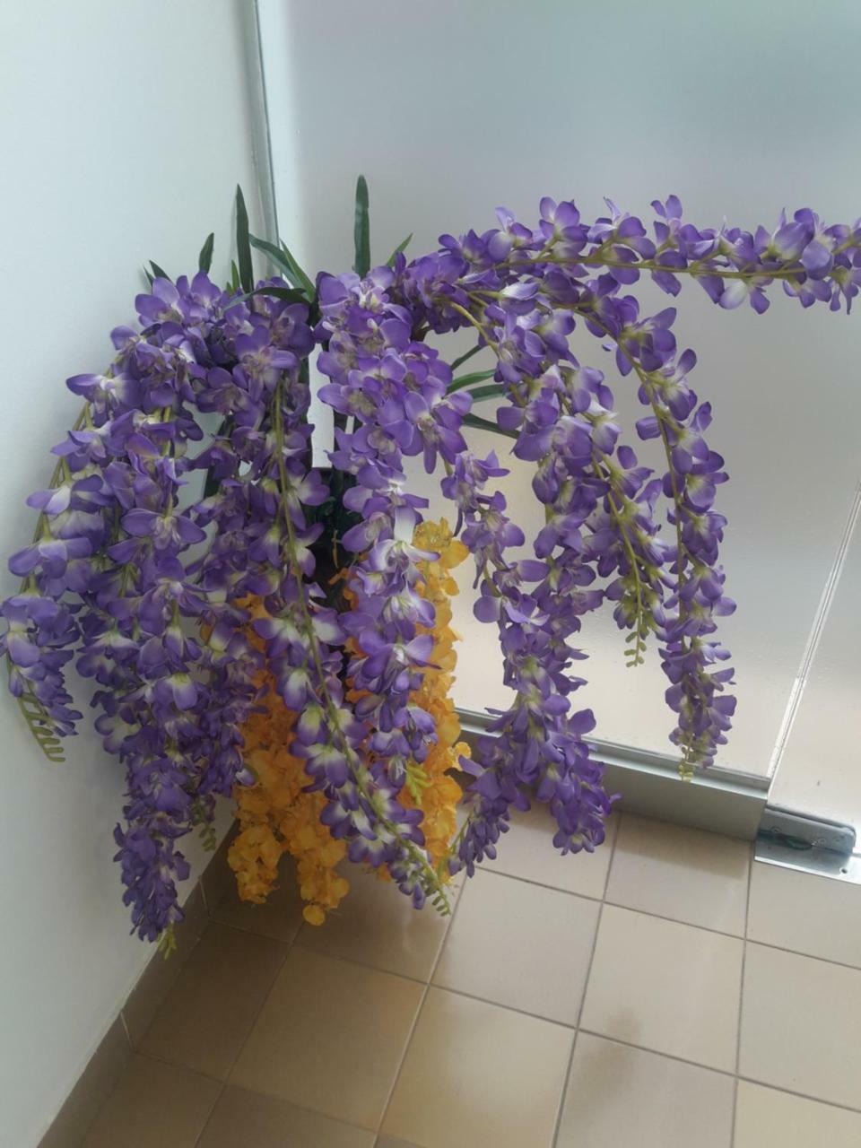 Hotel Casa Jardin Asunción Zewnętrze zdjęcie